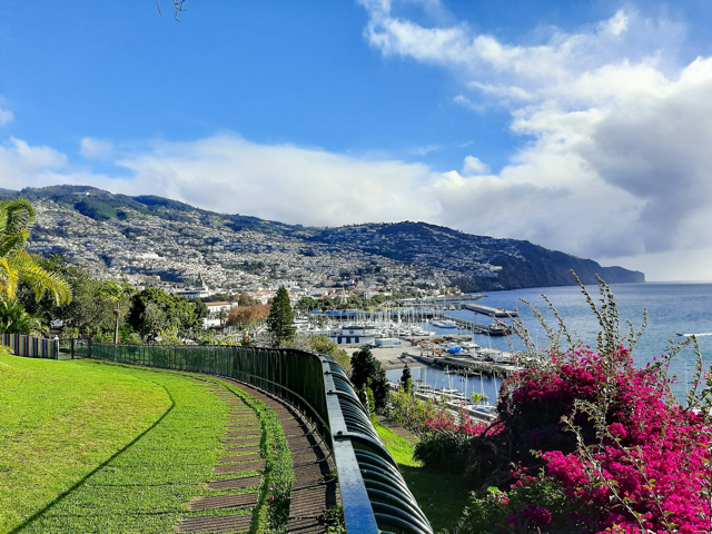 Panoramic view of Funchal city in Madeira, Portugal, featuring a coastal harbor with marina boats, hillside densely covered with white buildings, lush green park with curved pathway and railing in foreground, vibrant pink flowers, and bright blue sky with scattered clouds.